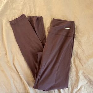 Gym shark leggings – Whitney Simmons